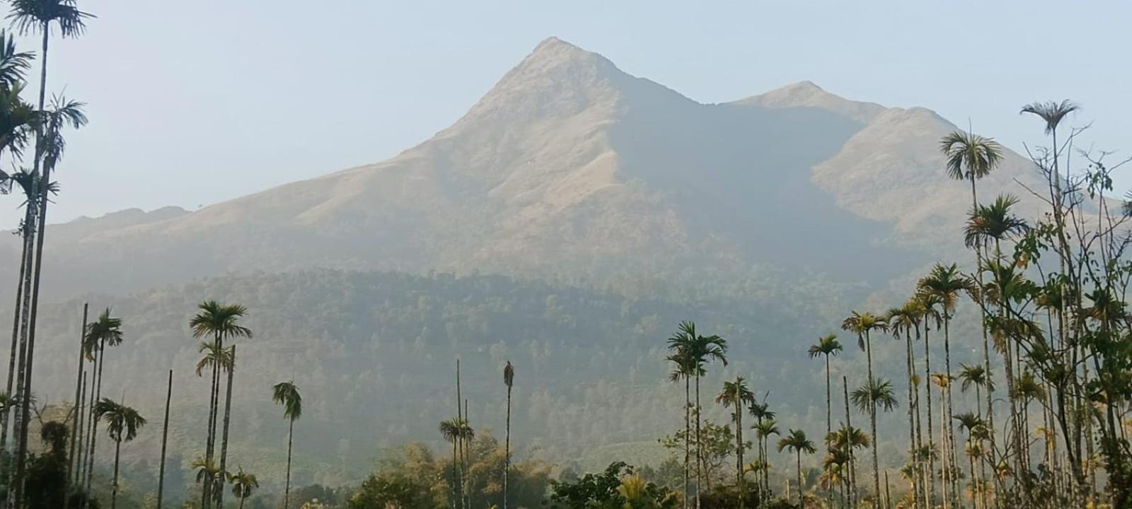Jungle Valley Ayurvedic Spa Resort Meppādi Εξωτερικό φωτογραφία